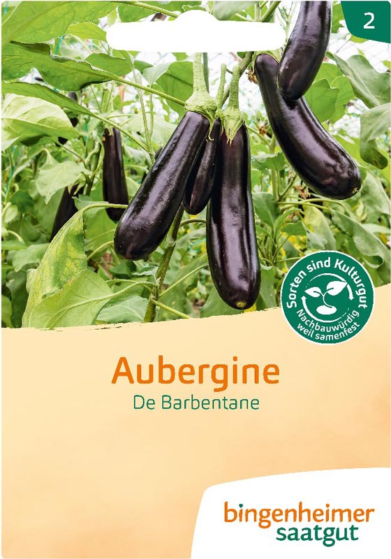 Aubergine Saatgut Bio