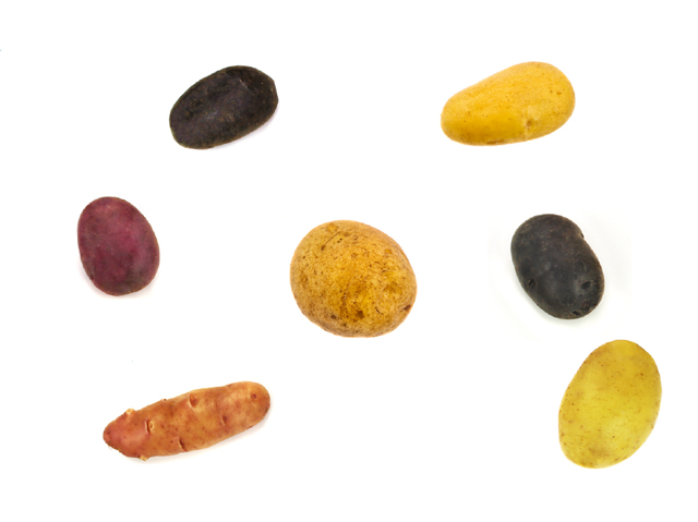 Hobbykartoffeln Classic - Bioland