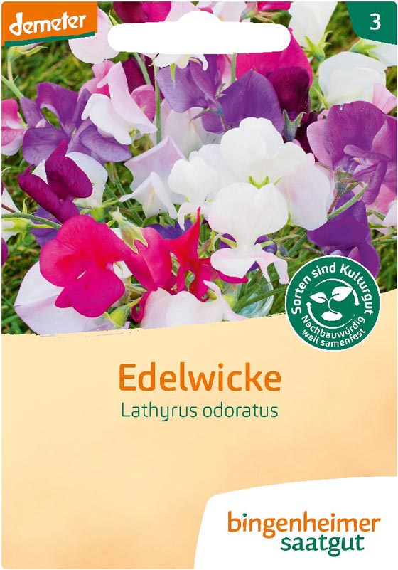 Edelwicke