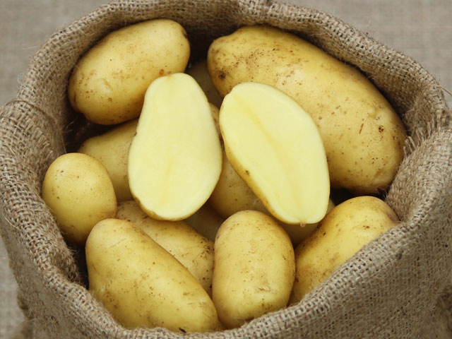 Nicola, Bio-Kartoffel