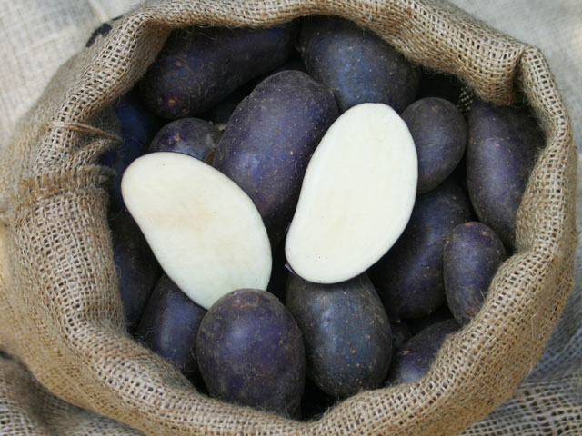 Schwarze Ungarin, Bio-Kartoffel