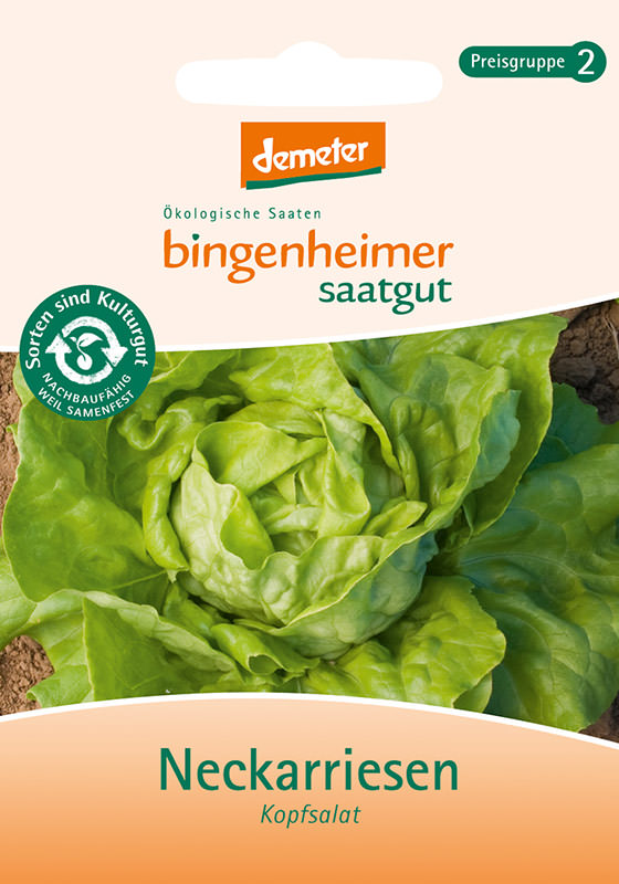 Bio Neckarrisen Kopfsalat Bingenheimer Saatgut
