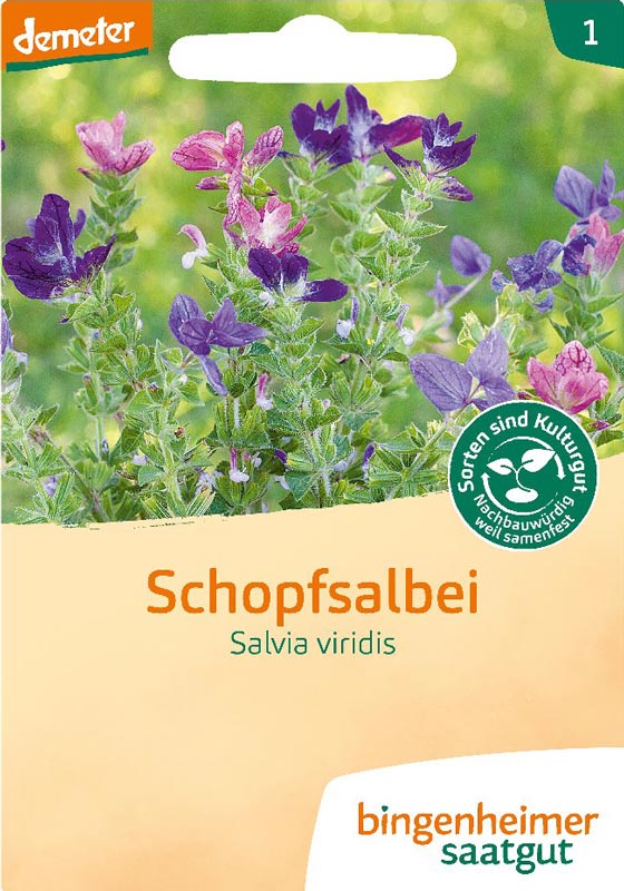 Schopfsalbei