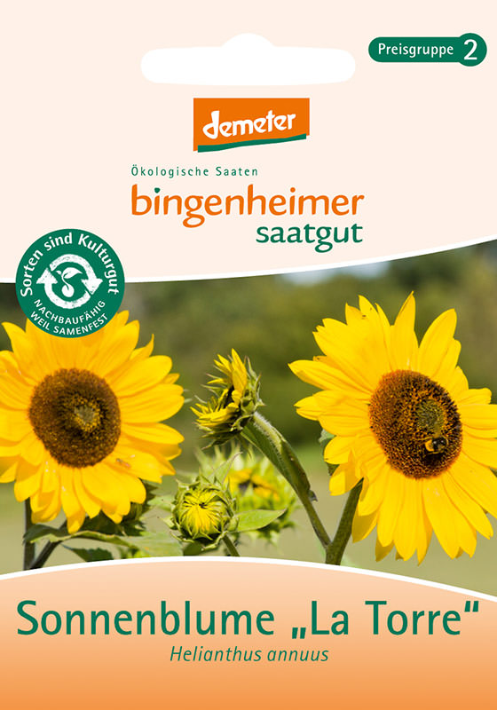 Bio Sonnenblume La Torre Bingenheimer Saatgut