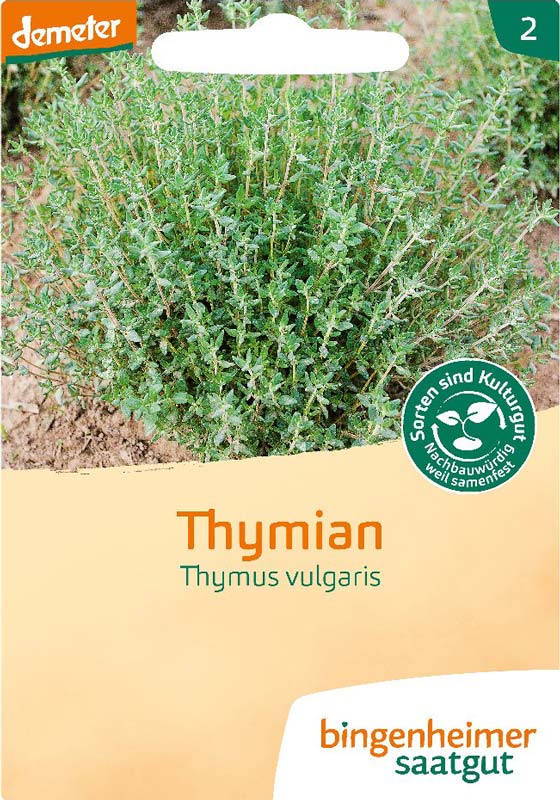 Thymian