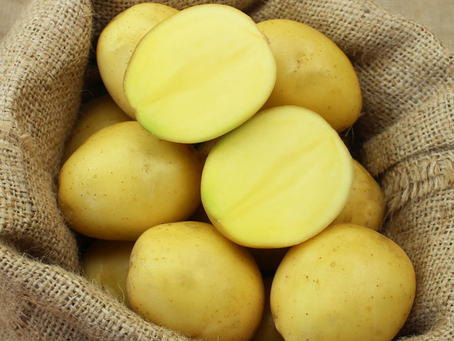 Afra Bio-Kartoffel
