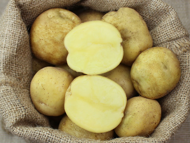 Augsburger Gold Bio-Kartoffel