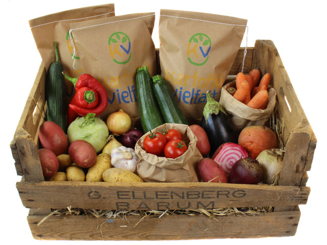 Bio Gemüse-Box