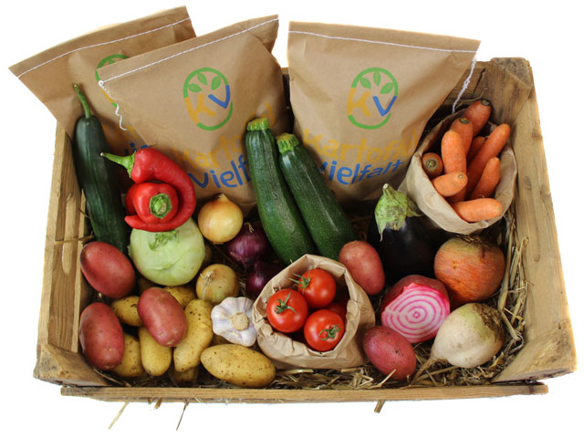 Bio Gemüse Box Ellenberg