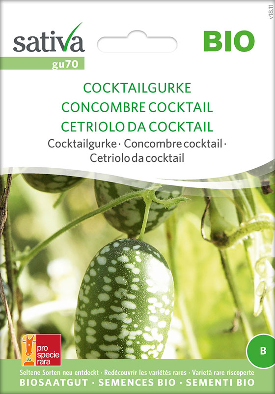 Bio Saatgut Cocktailgurke