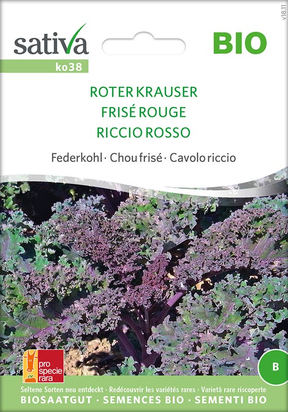 Bio Saatgut Federkohl Roter Krauser