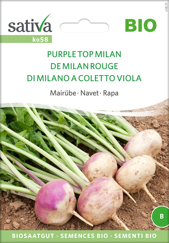 Bio Saatgut Mairübe Purple Topmila