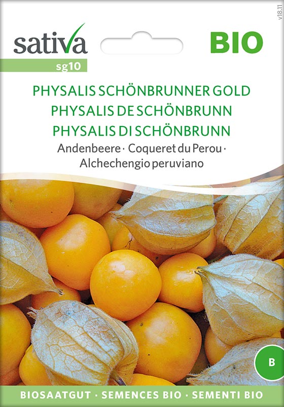 Bio Saatgut Physalis