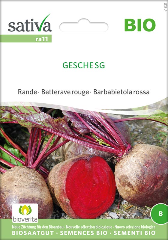 Bio Saatgut Rande Rote Beete Gesche SG