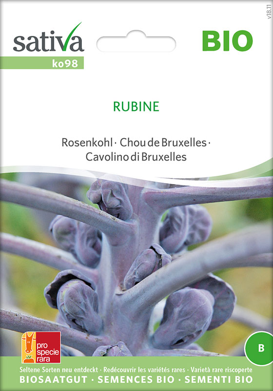 Rosenkohl - Rubine