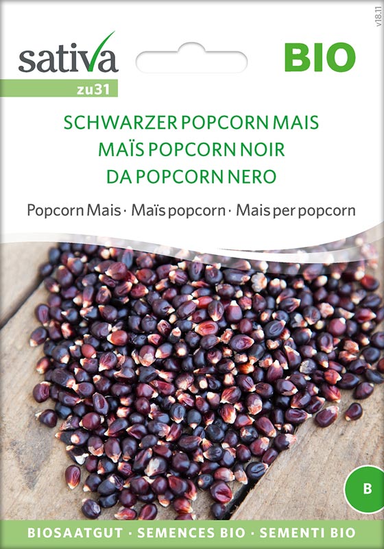 Bio Saatgut Schwarzer Popcorn Mais