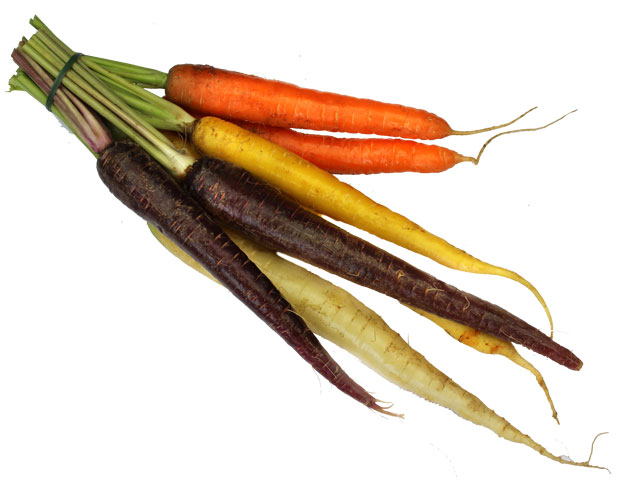 Bunte Möhren