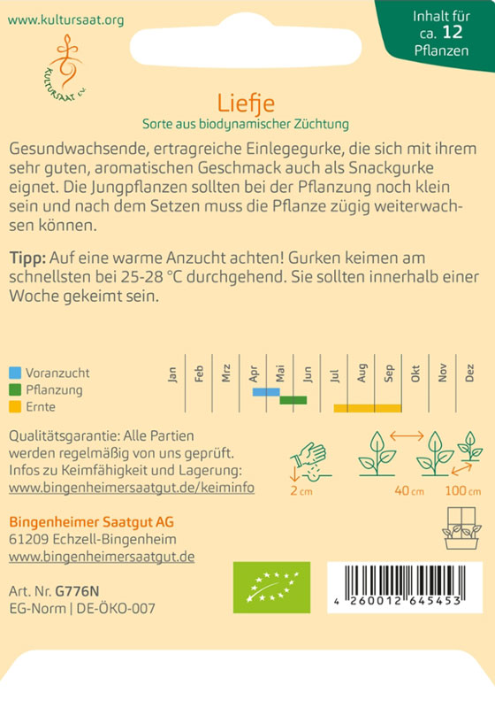 Einlegegurke Liefje Beschreibung