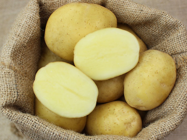 Friesländer Bio-Kartoffel