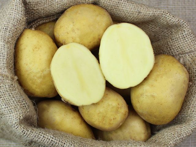 Heidemarie Bio-Kartoffel