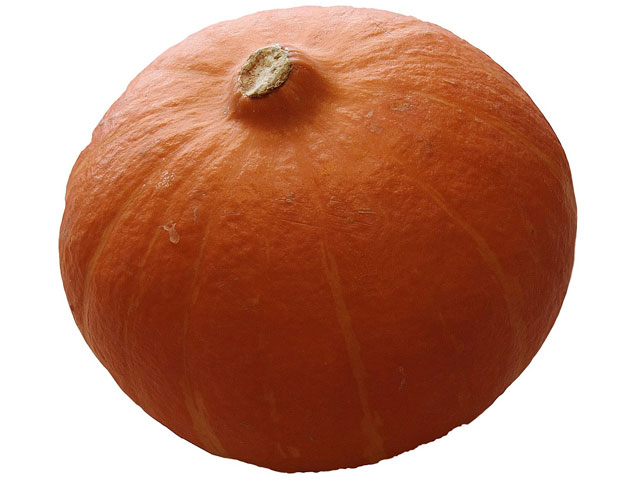 Hokkaido-Kürbis