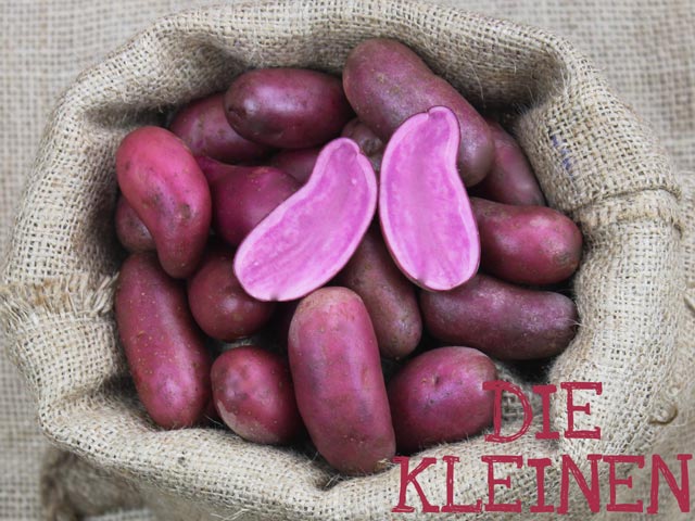 Kartoffeln im Sack Rote Emmalie
