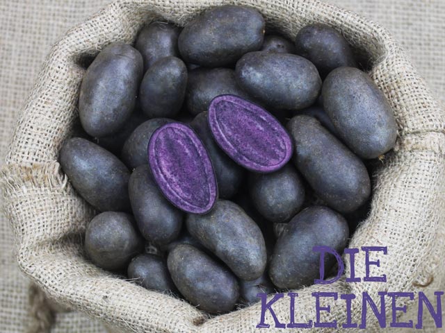 Kartoffeln im Sack Violetta