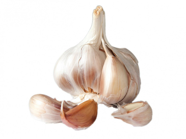 Knoblauch
