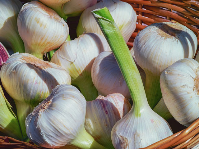 Knoblauch im Korb