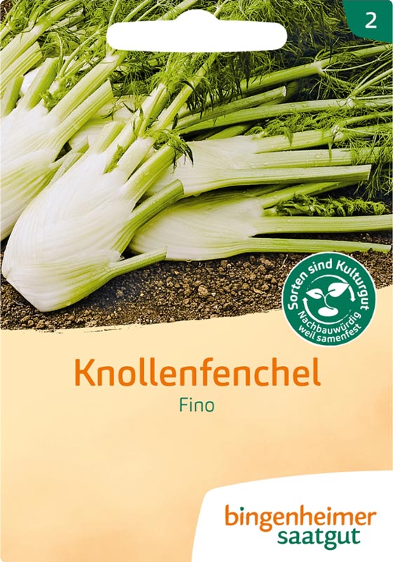 Knollenfenchel - Fino