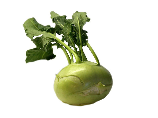 Kohlrabi bio