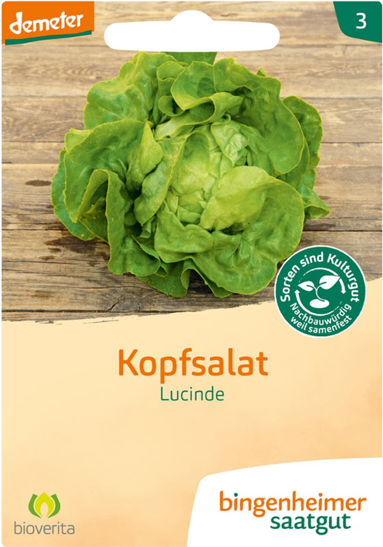 Kopfsalat - Lucinde