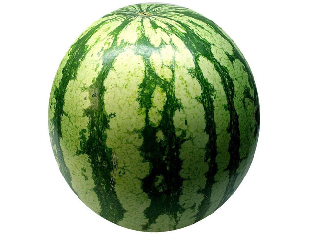 Mini-Wassermelone
