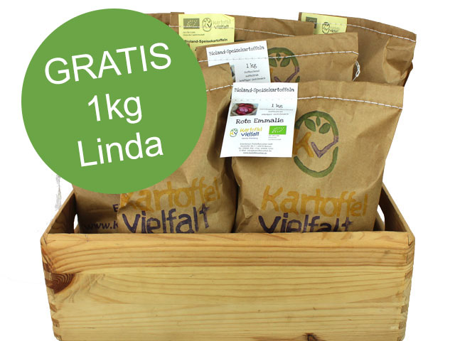 Single-Paket Kartoffeln