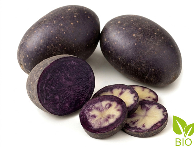 Purple Rain