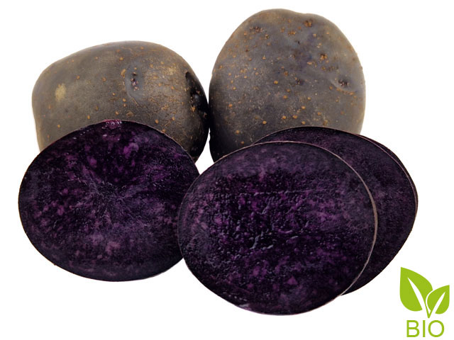 Purple Rain
