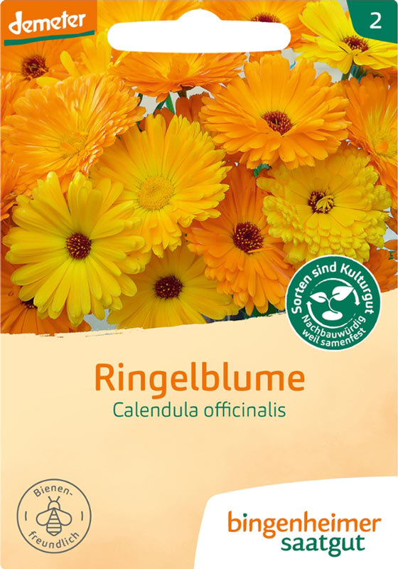 Ringelblume - Calendula