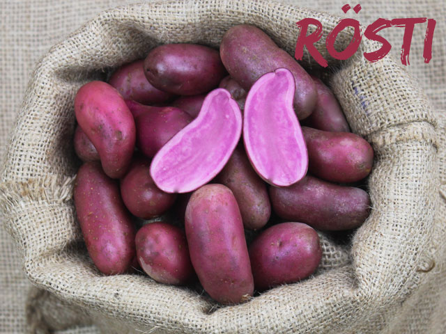 Rote Emmalie, Roesti, Bio-Kartoffel