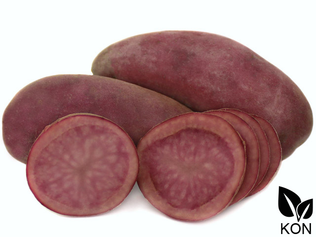Rote Emmalie Pflanzkartoffel