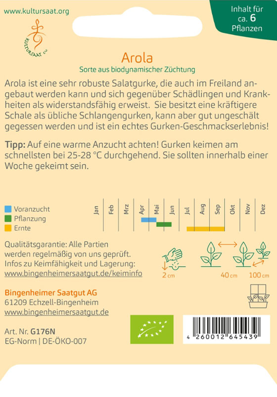 Salatgurke Arola Beschreibung