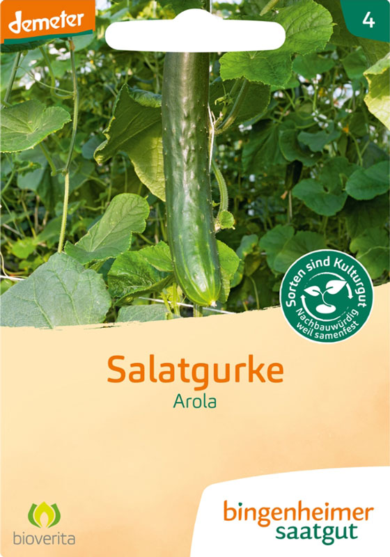 Arola - Salatgurke