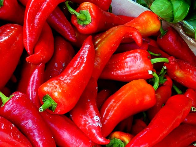 Spitzpaprika