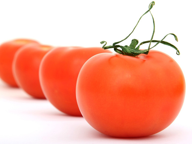 Bio-Tomaten