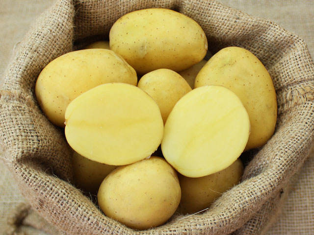 Sunita Bio-Kartoffel