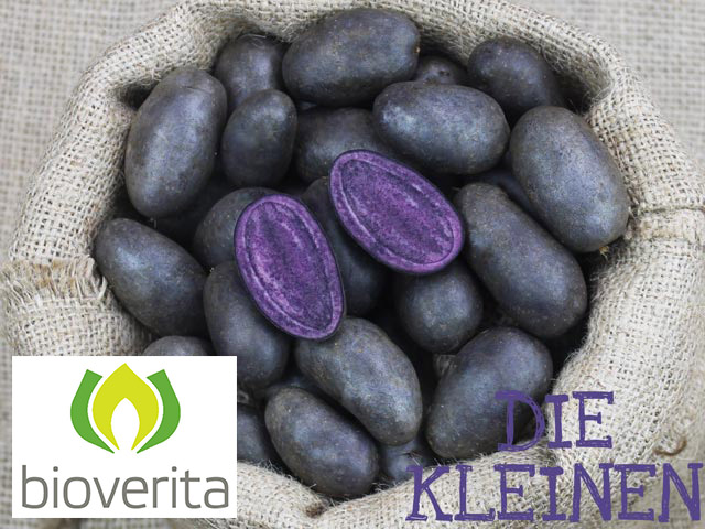 Kartoffeln im Sack Violetta