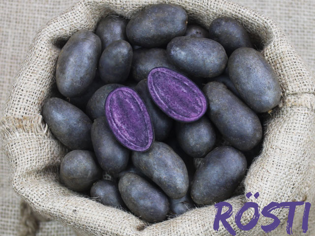 Violetta, Roesti, Bio-Kartoffel