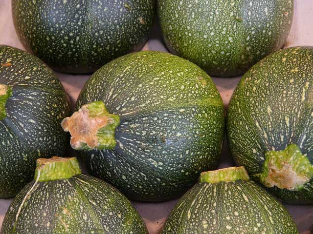 Runde Zucchini